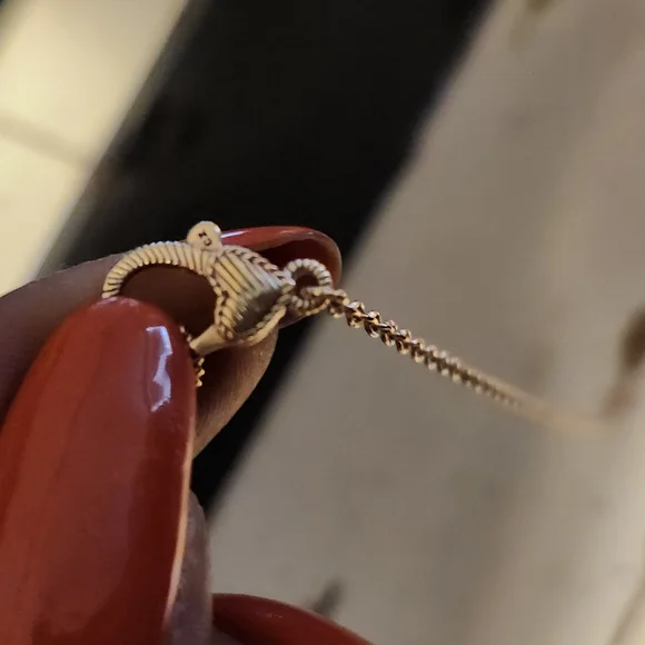 Judith Ripka 18inch Horseshoe Necklace - Picture 5 of 16